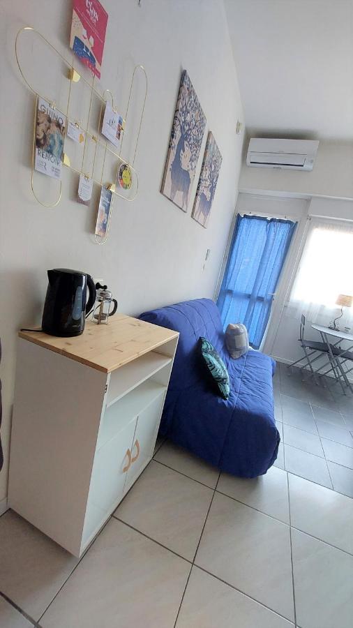 Chez Leslie Et Vincent : Logements Climatises Avec Parking Privatif Перпинян Екстериор снимка